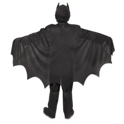 Batman Deluxe -Rooliasu 8-10 V.