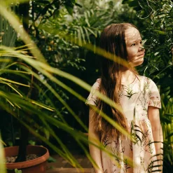 Timjami-Taskumekko Roosa